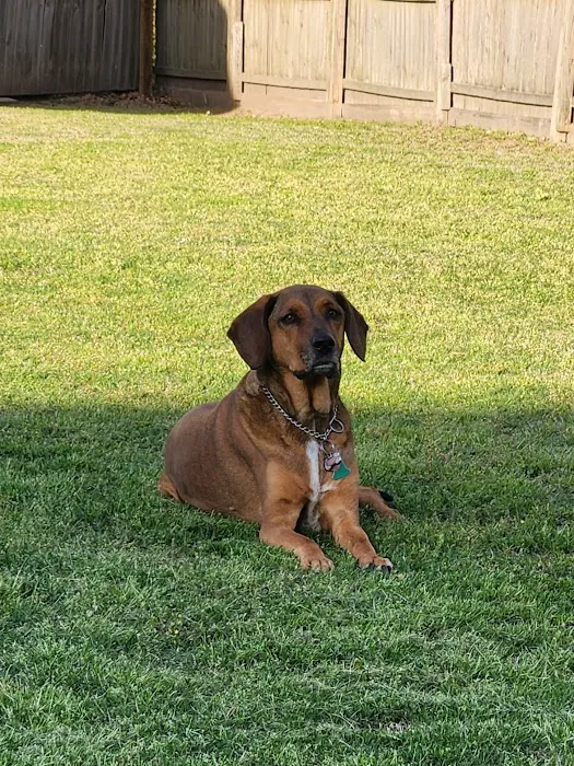 Tidewater Animal Clinic Picture 8