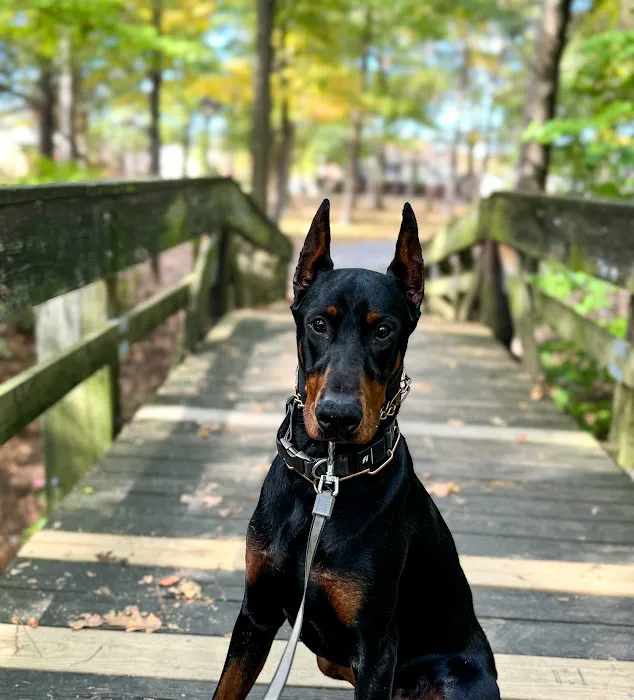 Tidewater Animal Clinic Picture 10