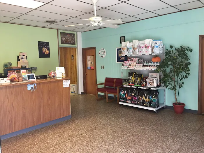 Suffolk Animal Hospital Picture 4