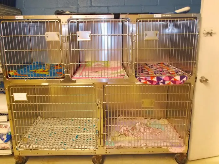 Suffolk Animal Hospital Picture 3