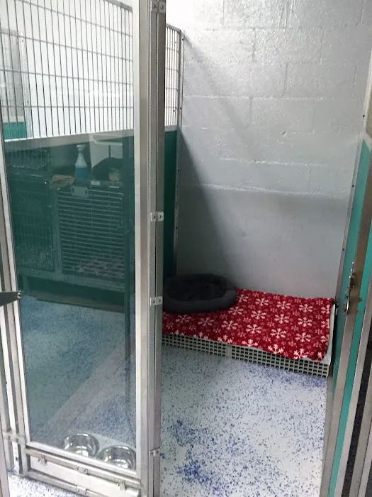 Suffolk Animal Hospital Picture 10