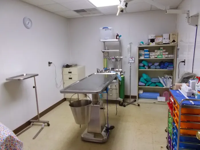 Suffolk Animal Hospital Picture 6
