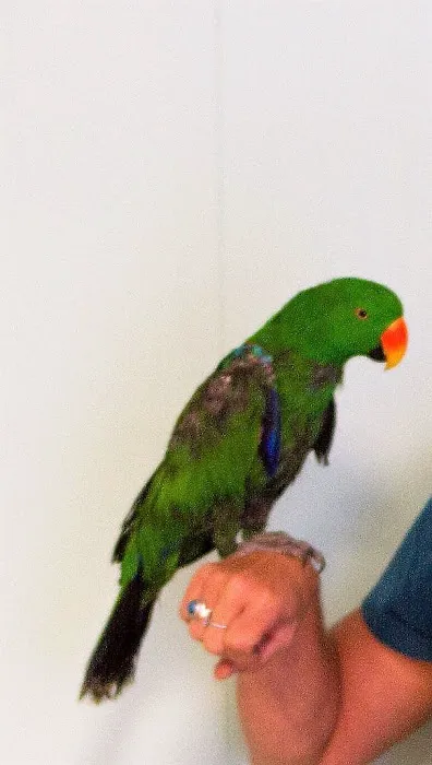 Suffolk Animal Hospital Picture 8