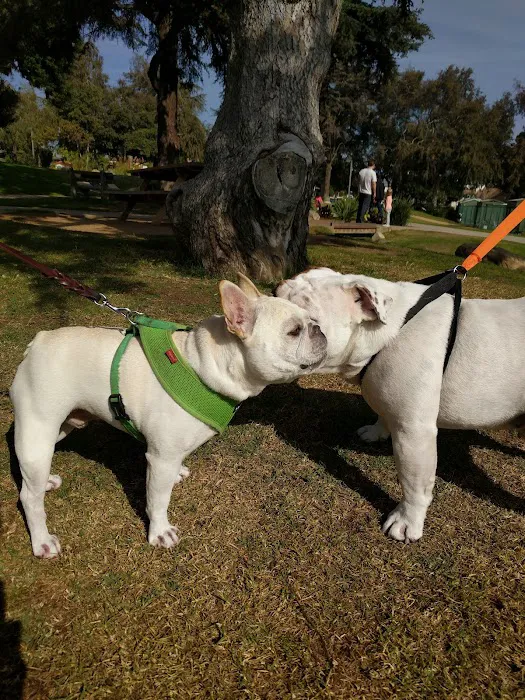 VCA Wilshire Animal Hospital Picture 4