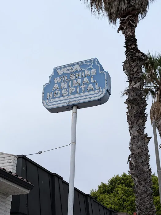 VCA Wilshire Animal Hospital Picture 1