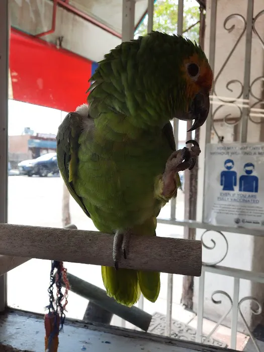 VCA Wilshire Animal Hospital Picture 7