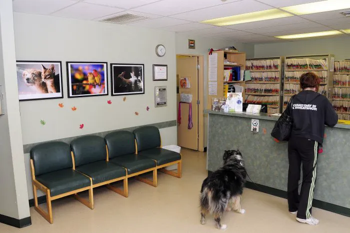 VCA Wilshire Animal Hospital Picture 9