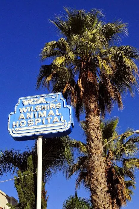 VCA Wilshire Animal Hospital Picture 8