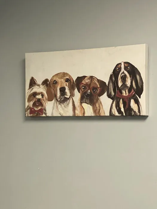 Sharp Pet Hospital Picture 7
