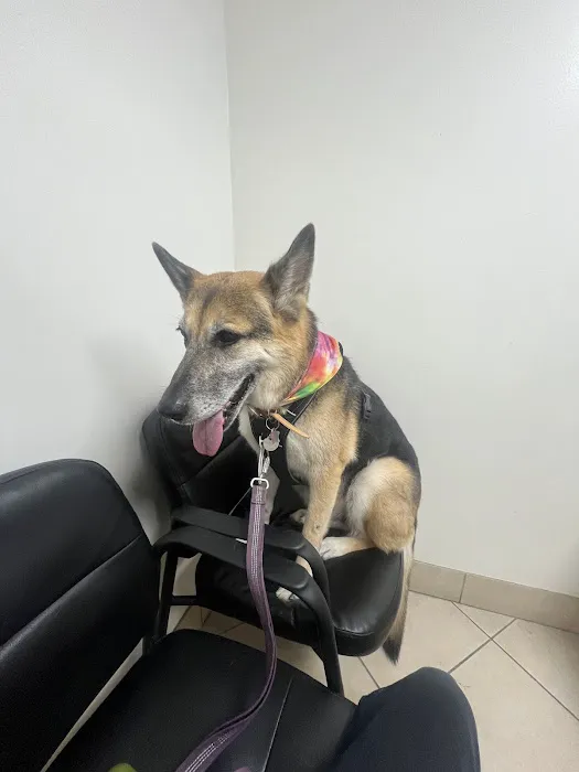 Aloro Pet Hospital Picture 3