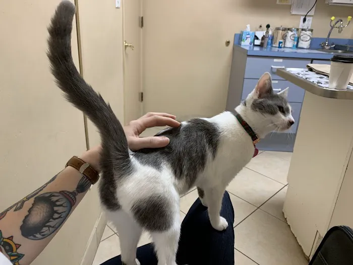 Aloro Pet Hospital Picture 8