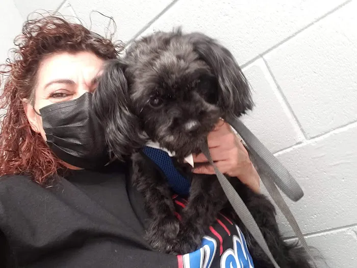 Elwood Animal Clinic Picture 1