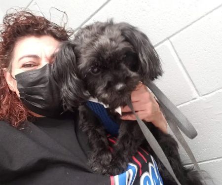 Elwood Animal Clinic
