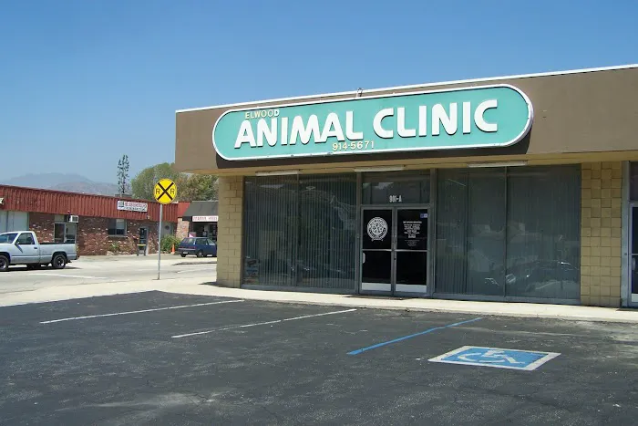 Elwood Animal Clinic Picture 7