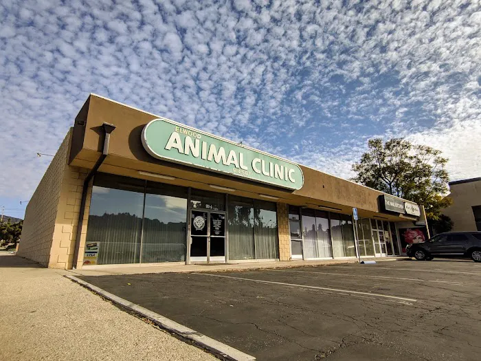 Elwood Animal Clinic Picture 9
