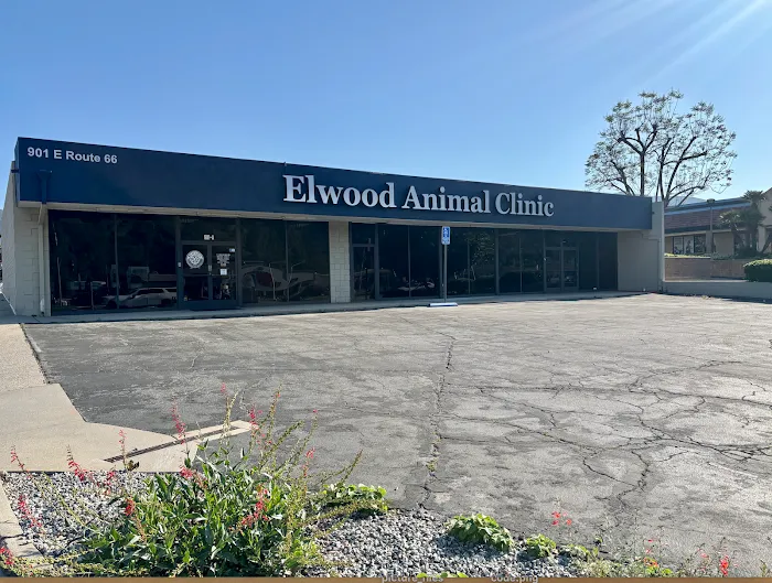 Elwood Animal Clinic Picture 10