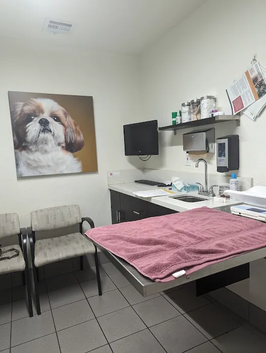 VCA Alosta Animal Hospital Picture 3