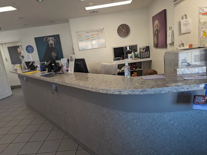 VCA Alosta Animal Hospital Picture 1