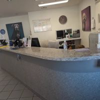 VCA Alosta Animal Hospital ico