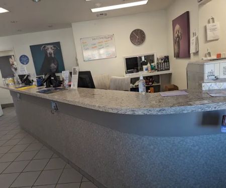 VCA Alosta Animal Hospital