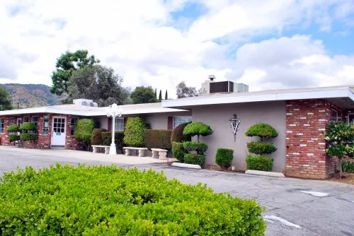 VCA Alosta Animal Hospital Picture 2