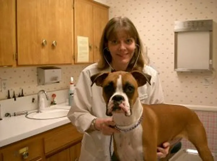 VCA Alosta Animal Hospital Picture 9
