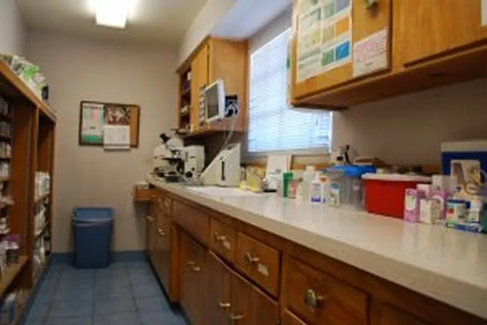 VCA Alosta Animal Hospital Picture 10