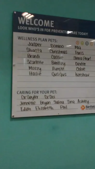 Banfield Pet Hospital Picture 2