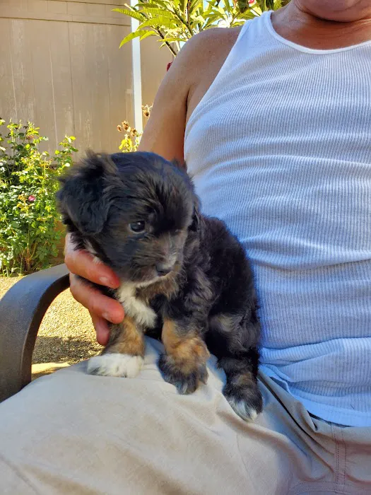 Banfield Pet Hospital Picture 5