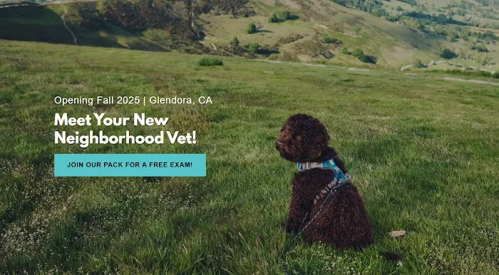 Glendora Hills Pet Hospital Picture 2