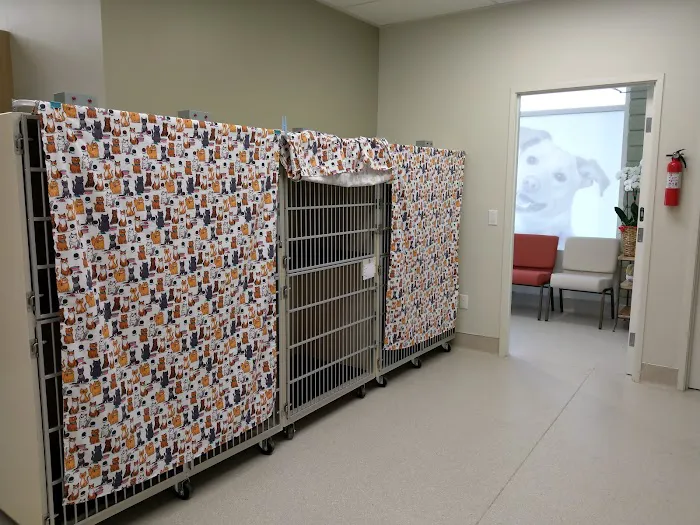 Glendora Pet Care Center Picture 3