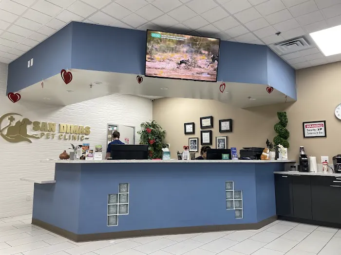 San Dimas Pet Clinic Picture 2