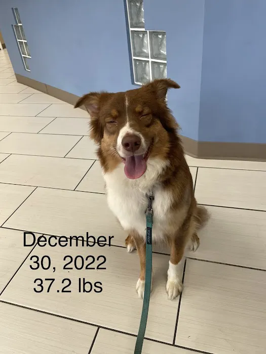 San Dimas Pet Clinic Picture 3