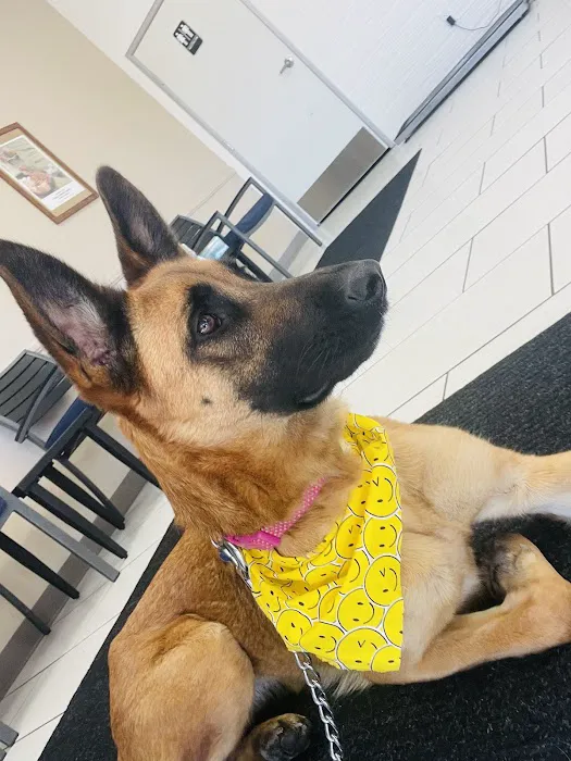 San Dimas Pet Clinic Picture 6