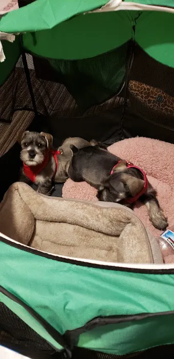 Banfield Pet Hospital Picture 4