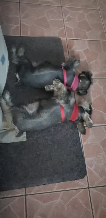 Banfield Pet Hospital Picture 2