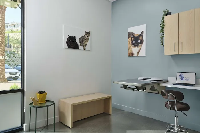 Animal Hospital of Walnut Picture 2