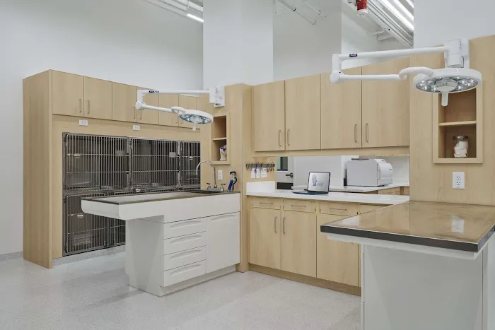 Animal Hospital of Walnut Picture 4