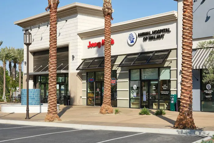 Animal Hospital of Walnut Picture 10