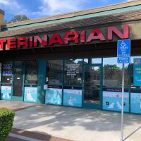 Diamond Bar Veterinary Clinic ico