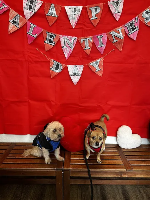 Diamond Bar Veterinary Clinic Picture 5