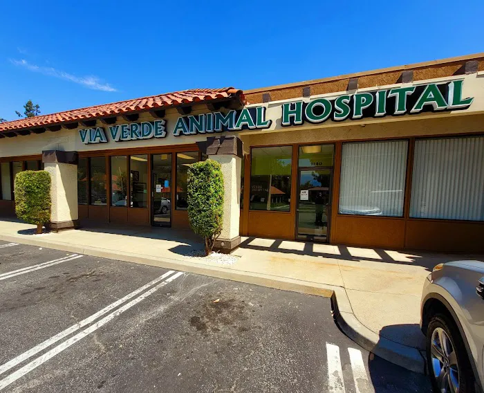 Via Verde Animal Hospital Picture 9