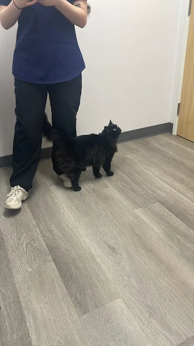 PetVets Animal Hospital Picture 1