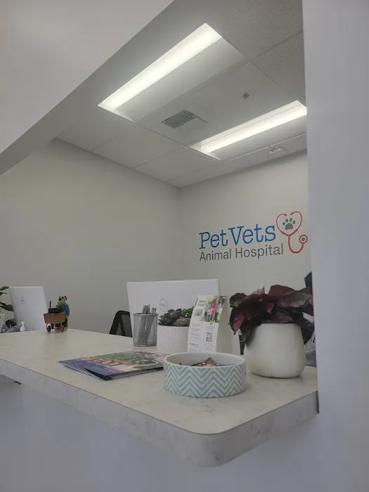 PetVets Animal Hospital Picture 3