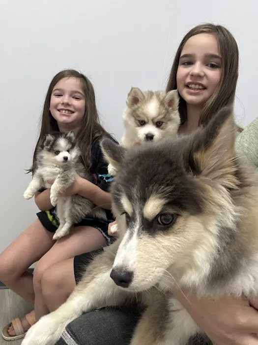 PetVets Animal Hospital Picture 2