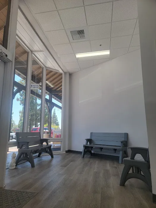 PetVets Animal Hospital Picture 8