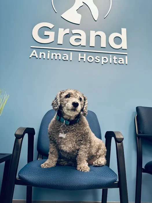 Grand Animal Hospital Picture 1