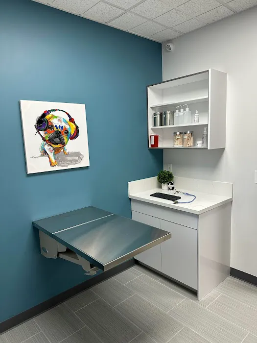 Grand Animal Hospital Picture 6