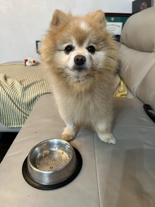 Grand Animal Hospital Picture 4