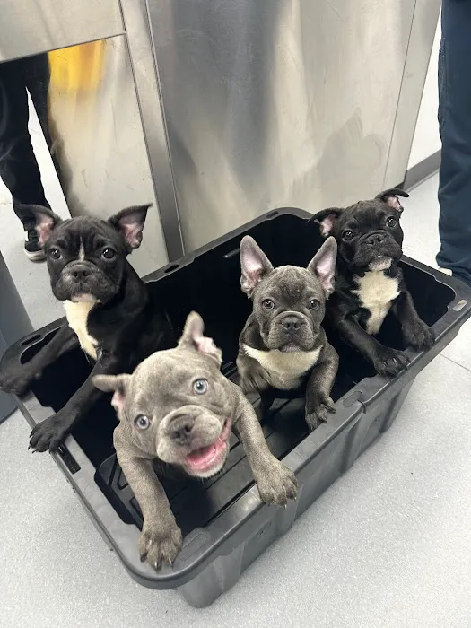 Grand Animal Hospital Picture 8